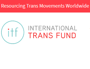 International Trans Fund job offer